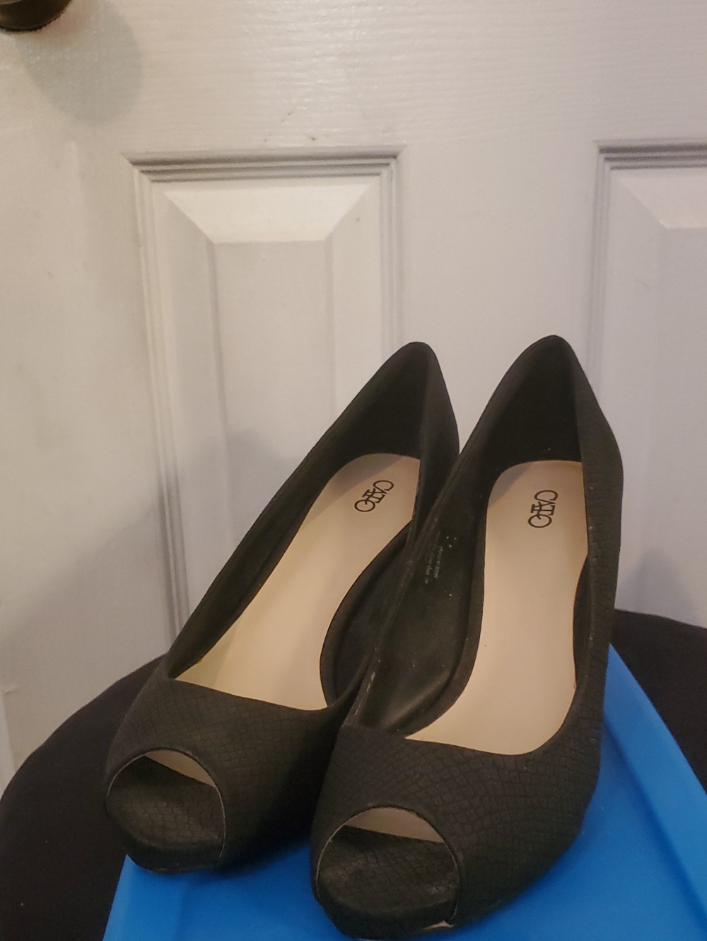 [Never Worn] Classic Black Peep-Toe Women's Pumps